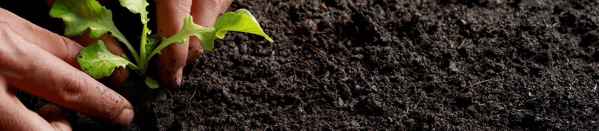 Cover image for the page