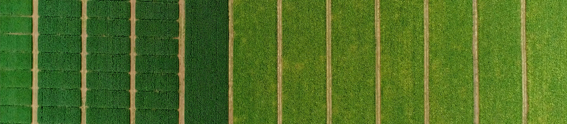 Cover image for the page